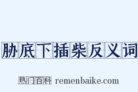 胁底下插柴反义词是什么意思的图片